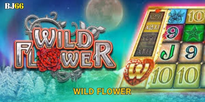 Wild Flower ma mị – sắc màu tự nhiên tại Bj66 1 Wild Flower ma mị – sắc màu tự nhiên tại Bj66