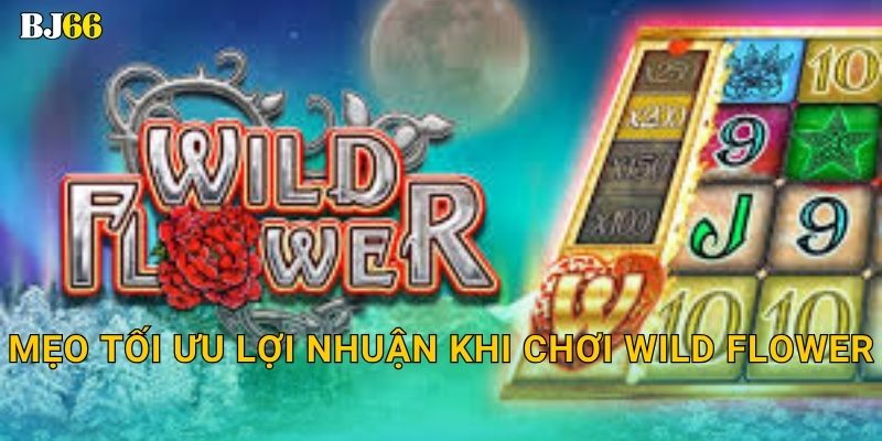 Wild Flower ma mị – sắc màu tự nhiên tại Bj66 3 Mẹo tối ưu lợi nhuận khi chơi Wild Flower