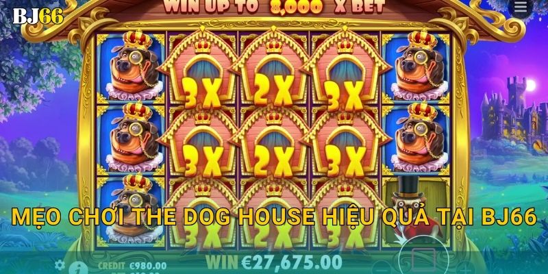The Dog House vui nhộn – vòng quay đáng yêu tại Bj66 3 Mẹo chơi The Dog House hiệu quả tại Bj66