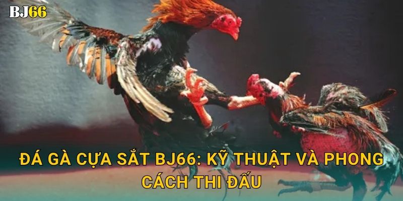 Đá gà cựa sắt Bj66: Kỹ thuật và phong cách thi đấu