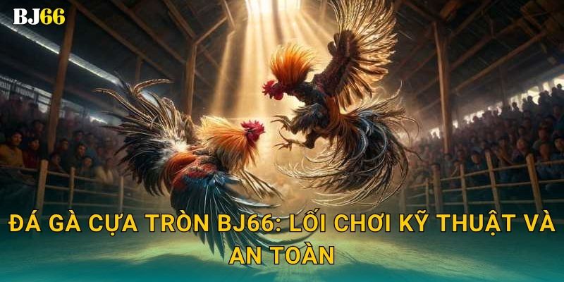 Đá gà cựa tròn Bj66: Lối chơi kỹ thuật và an toàn
