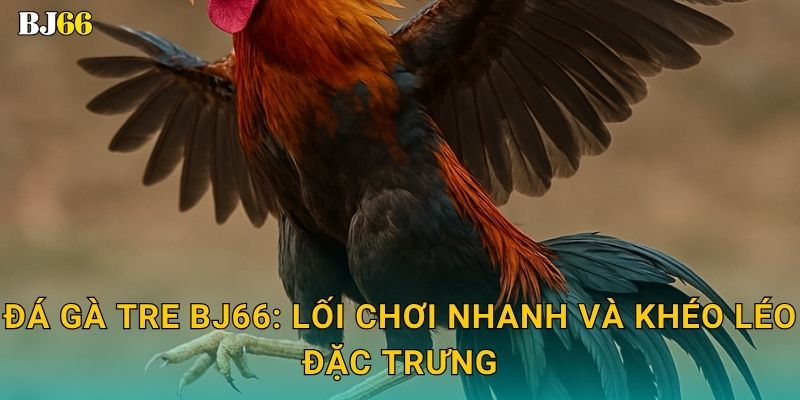 Đá gà tre linh hoạt – tinh thần tốc chiến tại Bj66 2 Đá gà tre Bj66: Lối chơi nhanh và khéo léo đặc trưng